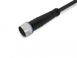 Кабель датчика / исполнительного устройства; Розетка M8; прямая; 3-пол.; Длина: 8 м